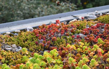 the cost of The Valley green roof installation