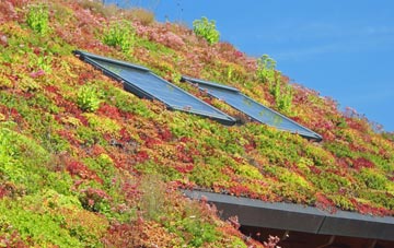 The Valley living roof systems